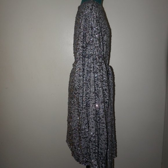 Beautiful Sequin ASOS CURVE Dress With Oversized Sleeves - Picture 3 of 5